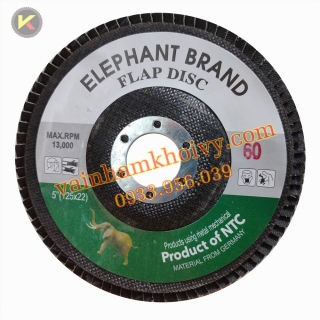 NHÁM XẾP CON VOI